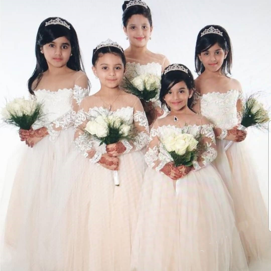 女の子のためのレースチュールフラワードレス、プリンセスボール - Toddler Girl Tulle Party Dress のレビューと価格