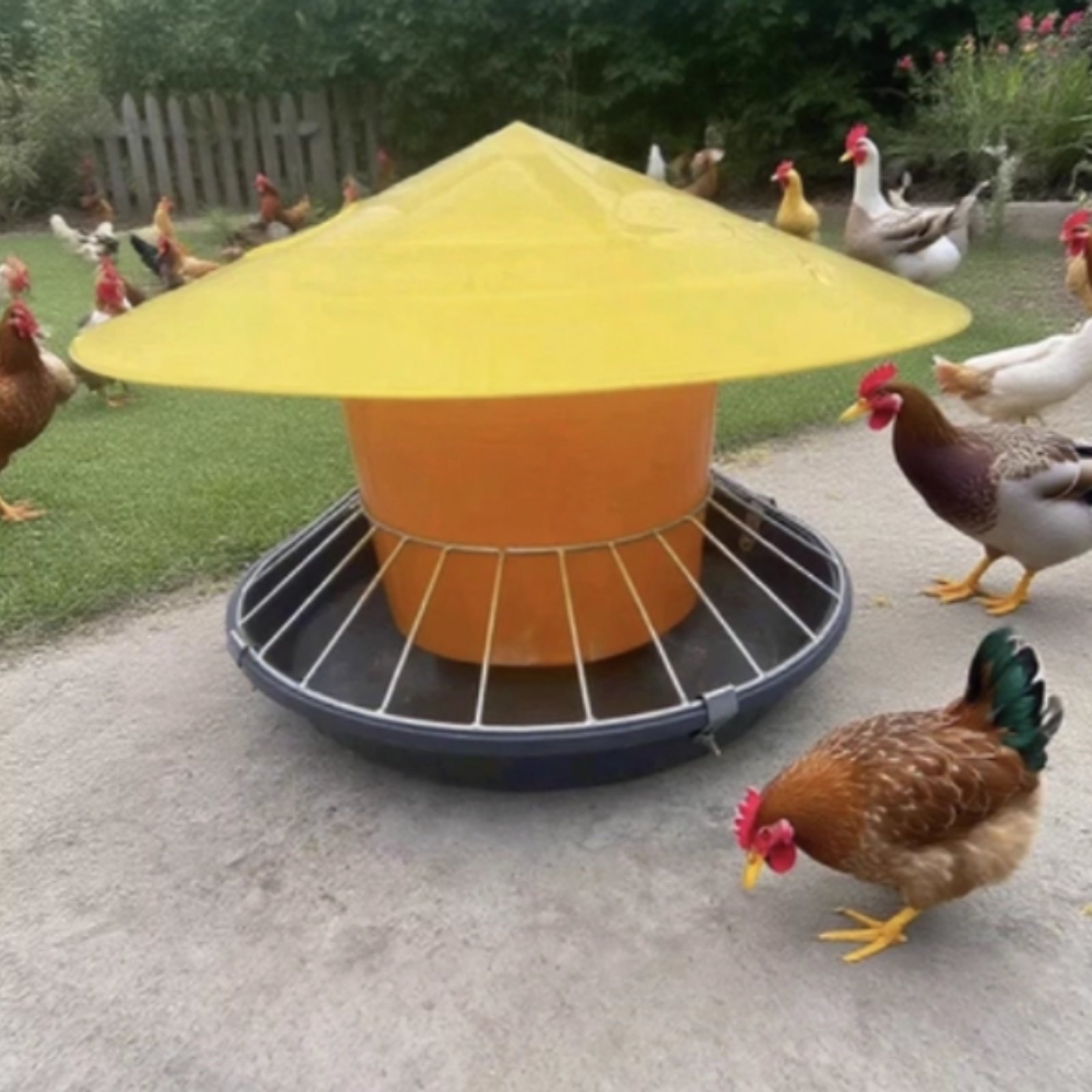 丸型家禽用フィーダー 大容量家禽用フィーダー 鶏用給餌トラフ - Feeding のレビューと価格