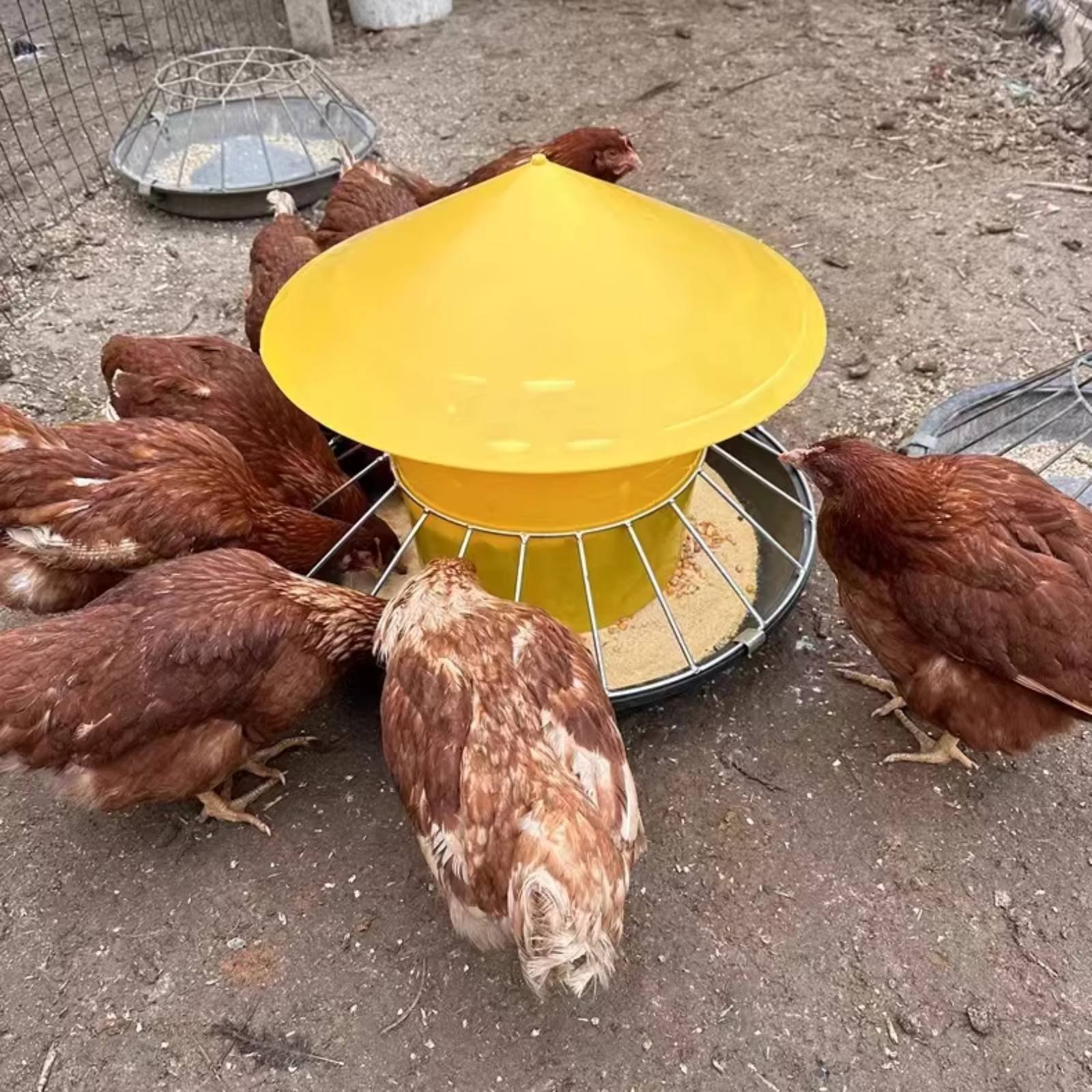 丸型家禽用フィーダー 大容量家禽用フィーダー 鶏用給餌トラフ - Feeding のレビューと価格